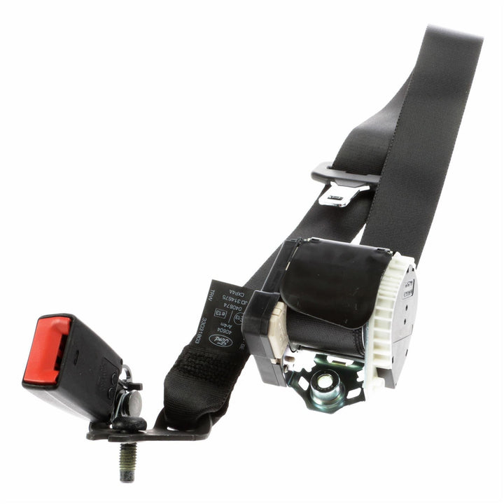 Focus MK2 Sicherheitsgurt hinten