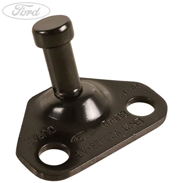 Original Ford Keil Ladetür 1861992