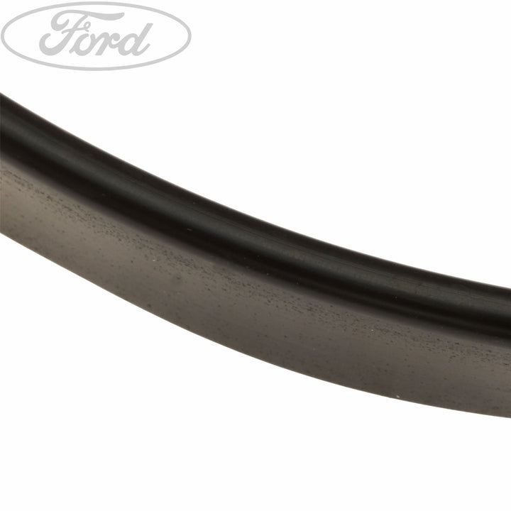 Original Ford Transit Tourneo vordere Tür Dichtungsstreifen 4043232