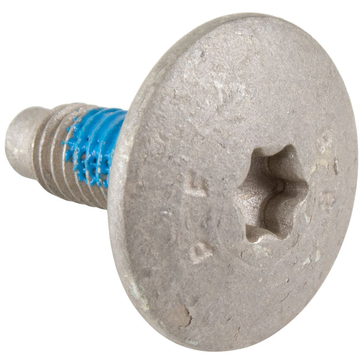 Kraftstoffdampfsystem Schraube