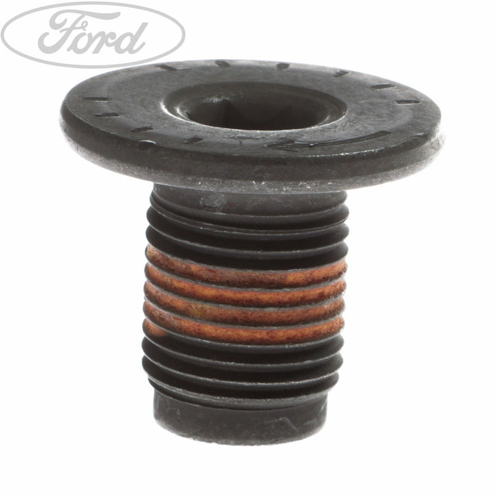 Original Ford Getriebeausgangswellenhalterlager Schraube 1691100
