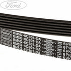 Original Ford Antriebsriemen 1.6L EcoBoost 1760373