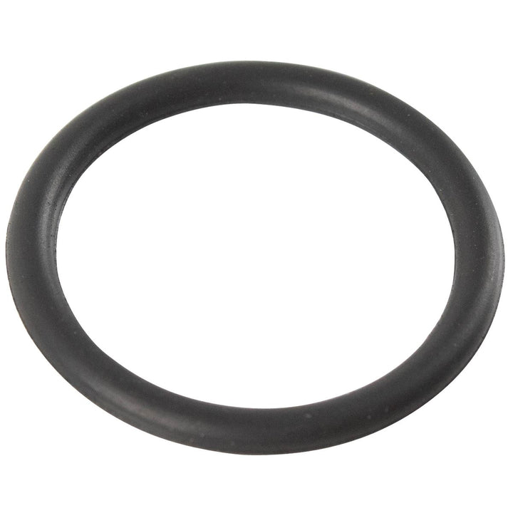 1.25 Duratec Sigma Ölpumpe Einlass Gummi Ring Dichtung