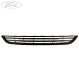 Ford Fiesta 2015-2019 Stoßstangengrill vorne unten Chrom 2011333