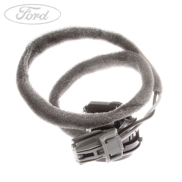 Original Ford Fiesta/B-Max Hochtonlautsprecher – Tür 1671752
