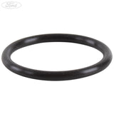 Thermostatgehäuse Dichtungsring O-Ring