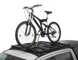 Original Ford EcoSport 2013-2023 Querträger & Thule Dach-Fahrradträger 532