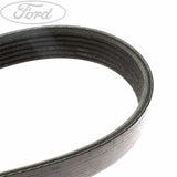 Focus MK1 1.6 Antriebskeilriemen