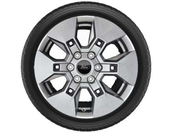 Ford Ranger PHEV 18 Zoll Winterkompletträder - 255/65 R18 115H-Goodyear