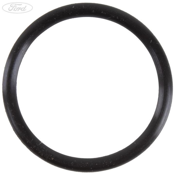 Thermostatgehäuse Dichtungsring O-Ring