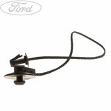 Original Ford Focus 2011-2020 Halteband Hutablage 1930212