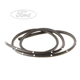 Original Ford Focus  Türdichtgummiumrandung 1495866