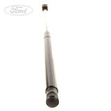 Original Ford Focus 2004-2008 Gasfeder - Heckklappe 1321021