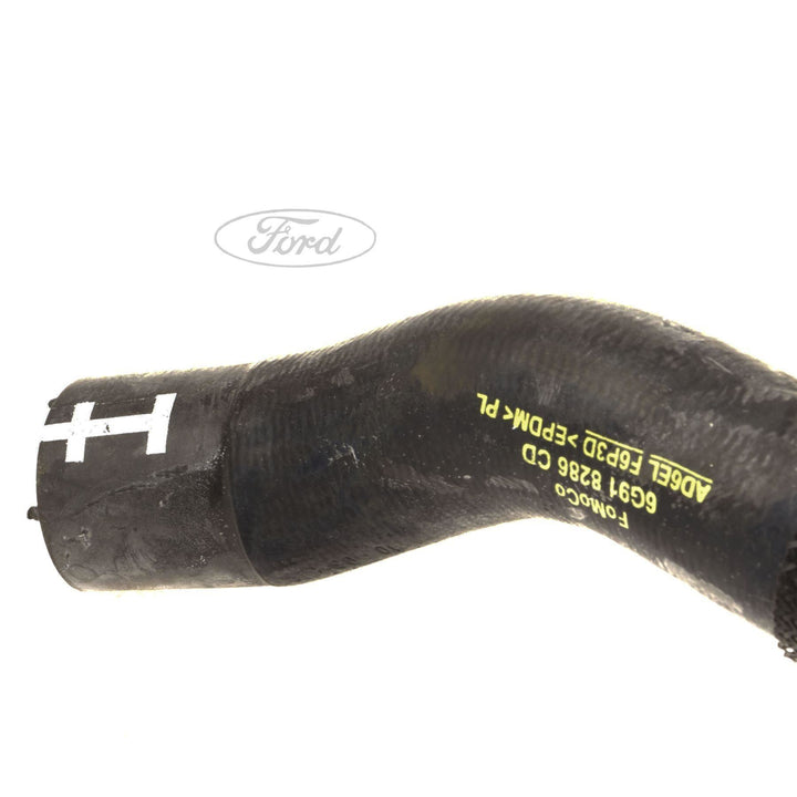 Original Ford Kühler-Schlauch 1431602