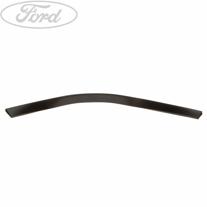 Original Ford Transit Tourneo vordere Tür Dichtungsstreifen 4043232